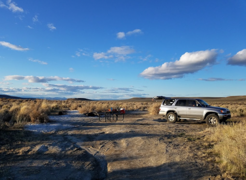 A silver SUV parked on a dirt area surrounded by tall grass and shrubs, with a clear blue sky and scattered clouds.