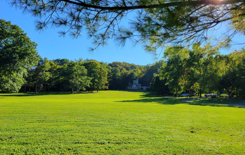 A sunny park scene with lush green grass, trees, and a distant building surrounded by hills.