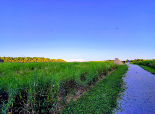 A scenic pathway through a lush green field under a clear blue sky, with trees in the background.