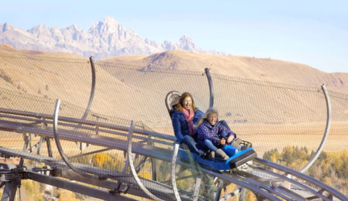A woman and child enjoy a thrilling ride on a mountain coaster with scenic hills and mountains in the background.