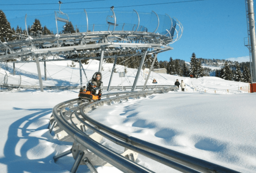 A child rides a sled on a snowy track, surrounded by trees and a clear blue sky.