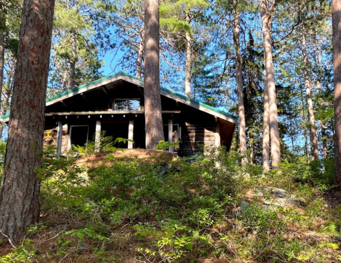 A rustic cabin nestled among tall trees and greenery under a clear blue sky.