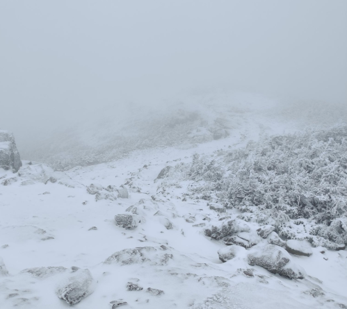 A snowy landscape shrouded in fog, with rocky terrain and sparse vegetation barely visible in the distance.