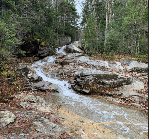 A rocky stream flows through a forested area, surrounded by trees and moss-covered stones.