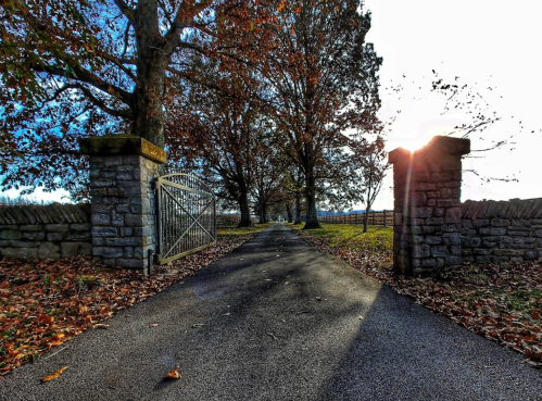 A tree-lined pathway leads through an open gate, with sunlight shining in the distance and autumn leaves scattered on the ground.