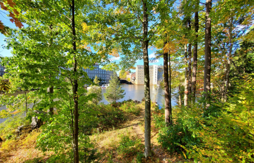 A serene view of a river surrounded by trees, with buildings visible in the background under a clear blue sky.