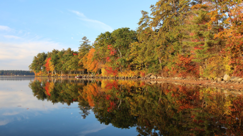 A serene lake reflects vibrant autumn trees along its shore under a clear blue sky.