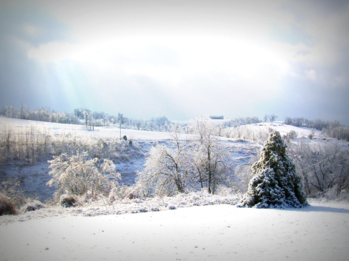 A serene winter landscape with snow-covered hills, trees, and a cloudy sky, creating a peaceful, frosty scene.