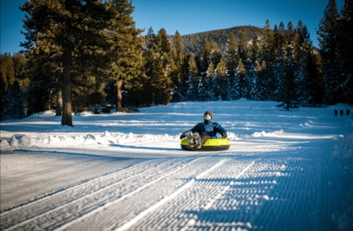 A person sledding down a snowy path surrounded by trees on a sunny winter day.