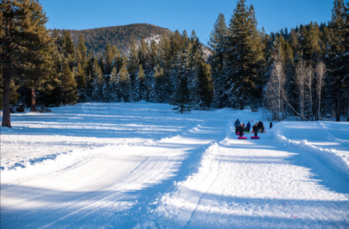 A snowy landscape with trees, featuring a group of people sledding down a hill under a clear blue sky.