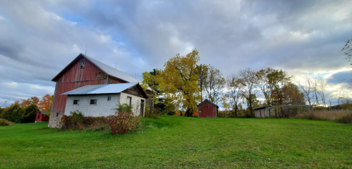 A red barn and small shed on a grassy field, surrounded by trees under a cloudy sky.