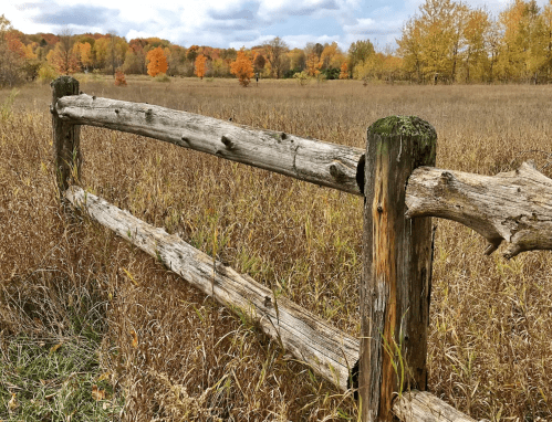 A rustic wooden fence in a grassy field, with autumn trees in the background displaying vibrant orange and yellow leaves.