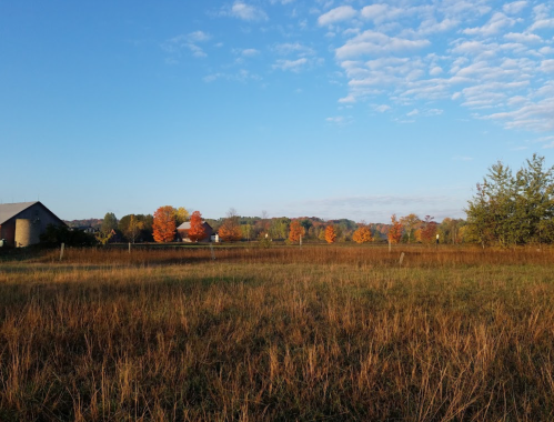 A scenic landscape featuring a grassy field, autumn trees with orange leaves, and a clear blue sky.
