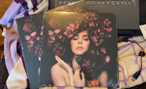 Three vinyl records with a floral-themed cover featuring a woman surrounded by roses, placed on a laptop and towel.