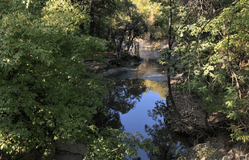 A serene river flows through a lush green forest, reflecting the trees and sunlight on its calm surface.