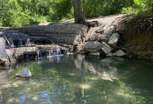 A serene pond with a small waterfall, surrounded by lush greenery and rocky banks. Sunlight reflects on the water's surface.