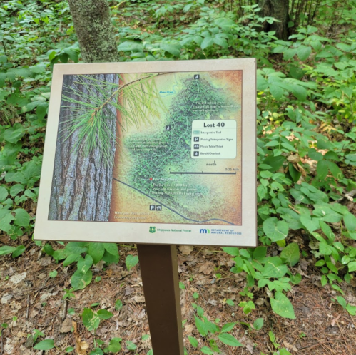 Map sign for Lost 40 in Chippewa National Forest, surrounded by greenery and trees.
