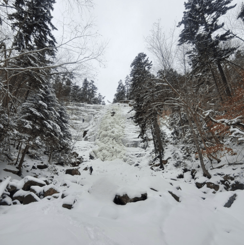 A frozen waterfall surrounded by snow-covered trees and rocky terrain in a winter landscape.