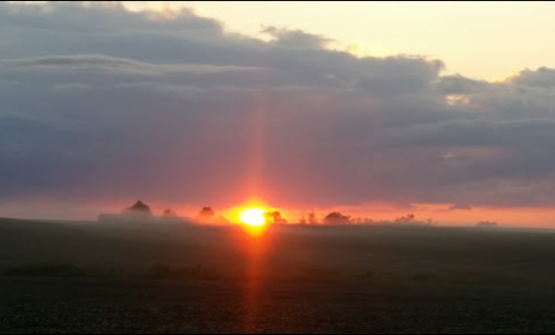 A vibrant sunset casts warm colors over a misty landscape, with silhouettes of trees in the foreground.