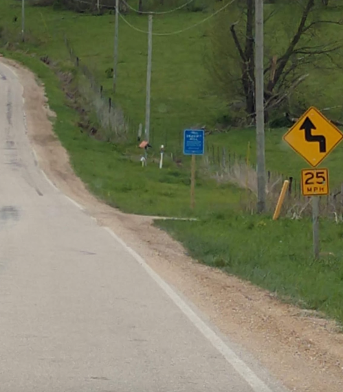 A winding road sign with a speed limit of 25 MPH, surrounded by green grass and trees.