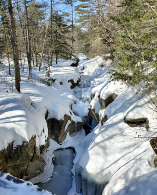 A snowy canyon with a frozen stream, surrounded by trees under a clear blue sky.