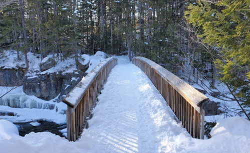 A snow-covered wooden bridge spans a frozen stream, surrounded by tall trees in a winter landscape.