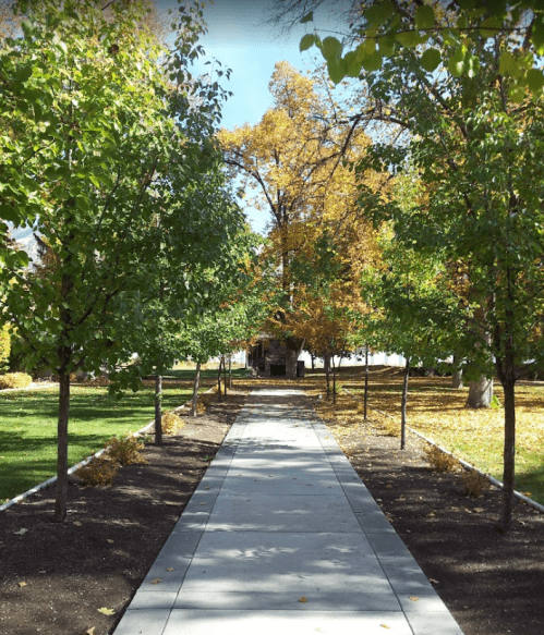 A tree-lined pathway in a park, with colorful autumn foliage and a clear blue sky above.