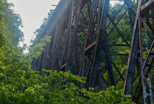 An old, rusted railway trestle bridge surrounded by lush green foliage and trees.