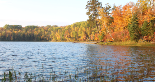 A serene lake surrounded by trees with vibrant autumn foliage reflecting in the water.