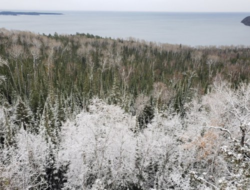 Aerial view of a snowy forest overlooking a calm lake, with trees in various shades of green and white.