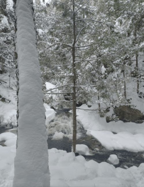 A snowy landscape featuring a river flowing through a forest, surrounded by snow-covered trees and rocks.
