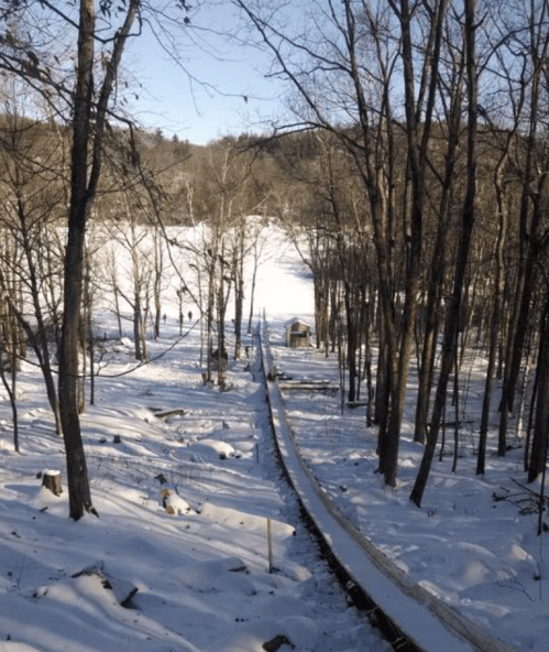 A snowy landscape with a wooden path leading through trees, and a distant view of people near a cabin.