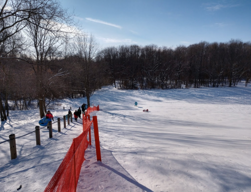 A snowy landscape with a red fence, trees in the background, and people sledding down a hill.