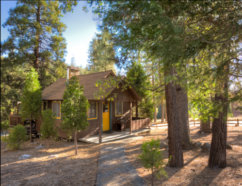 A cozy cabin surrounded by tall trees and a gravel path, set in a serene forest environment.