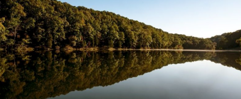 A serene lake surrounded by lush green trees, reflecting the landscape in calm waters under a clear sky.