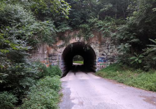 A stone tunnel surrounded by greenery, with a road leading through it and graffiti on the walls.