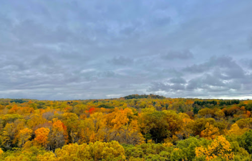 A vibrant autumn landscape with trees in shades of yellow, orange, and green under a cloudy sky.