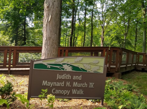 Sign for the Judith and Maynard H. Murch IV Canopy Walk, surrounded by trees and a wooden walkway.