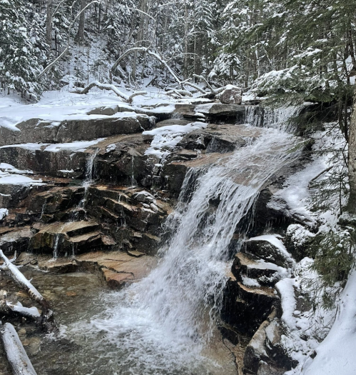 A snowy landscape featuring a cascading waterfall over rocky terrain, surrounded by trees.