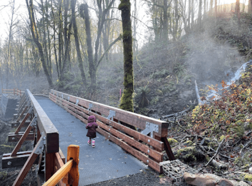 A child walks along a wooden bridge in a misty forest, surrounded by trees and a small waterfall.