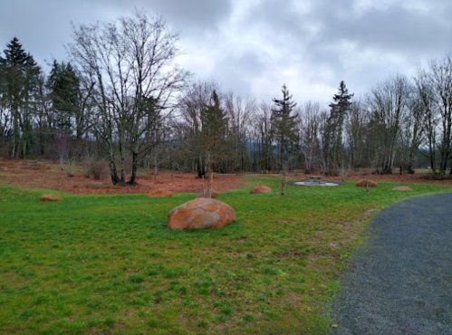 A grassy park area with scattered rocks, bare trees, and a cloudy sky in the background.