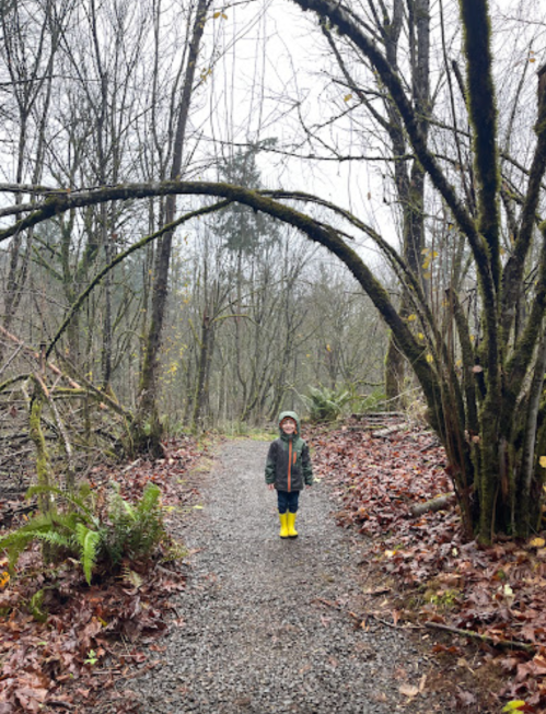 A child in yellow rain boots stands on a gravel path in a forest, surrounded by bare trees and fallen leaves.