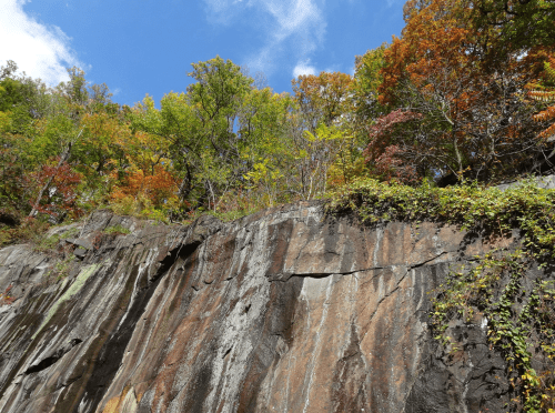 A rocky cliff with vibrant autumn foliage above, under a clear blue sky.