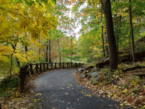 A winding path through a vibrant autumn forest, lined with colorful leaves and trees.