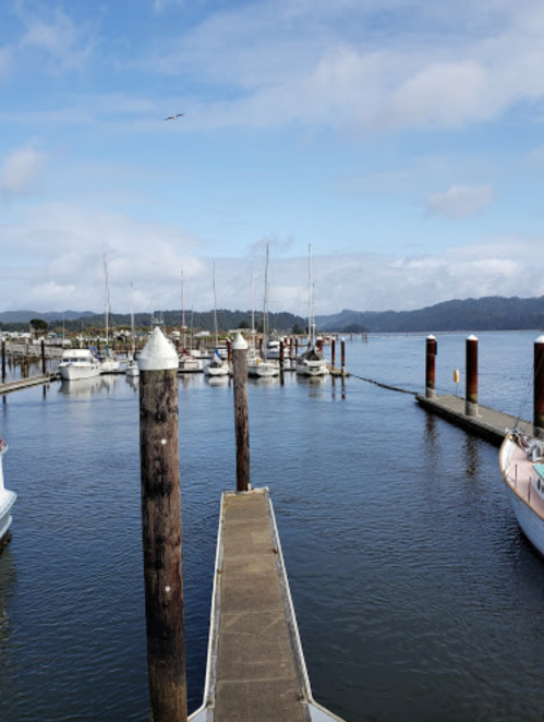 A peaceful marina with boats docked, wooden posts lining the pier, and a clear blue sky in the background.
