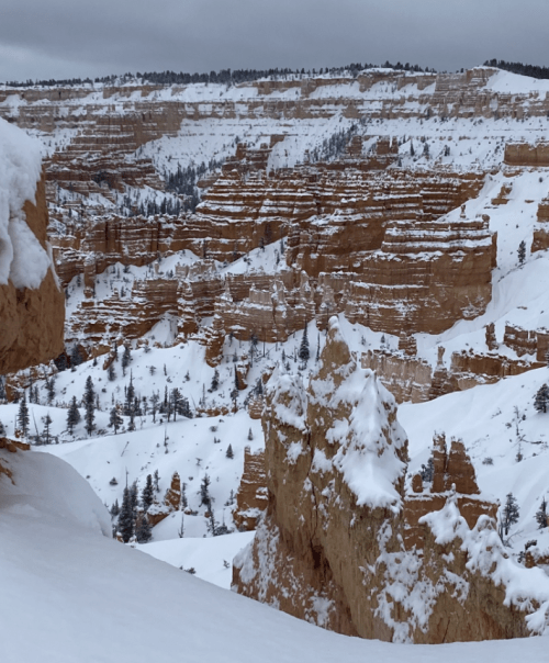 Snow-covered canyon landscape with layered rock formations and scattered evergreen trees under a cloudy sky.