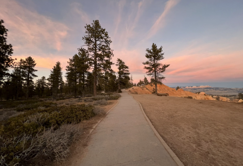 A winding path through a forest at sunset, with trees and a colorful sky in the background.