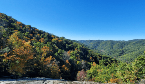 A scenic view of rolling green hills with autumn foliage under a clear blue sky.