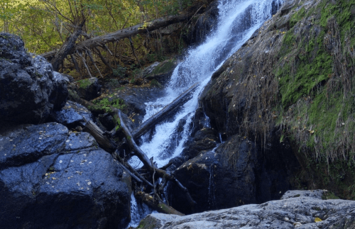 A serene waterfall cascading over dark rocks, surrounded by lush greenery and fallen leaves.