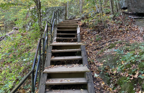 Wooden stairs lead up through a forested area, surrounded by rocks and fallen leaves.